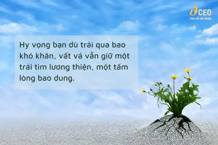 câu nói hay về sóng gió cuộc đời