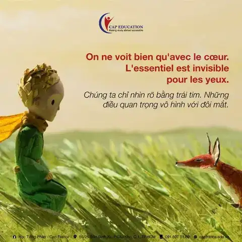 câu nói hay trong hoàng tử bé câu nói hay trong hoàng tử bé