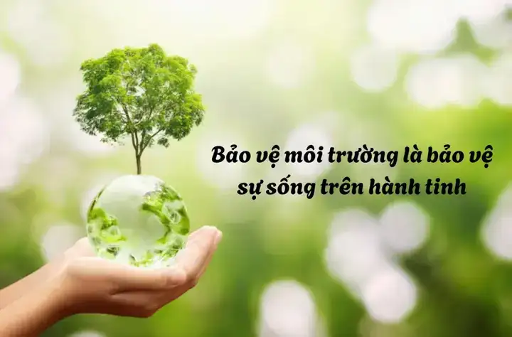 câu nói bảo vệ môi trường