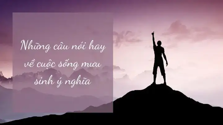 những câu nói hay về cuộc sống vất vả