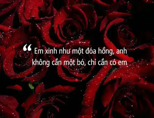 câu nói hay về màu đỏ