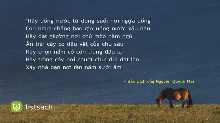 câu nói hay về chân lý sống