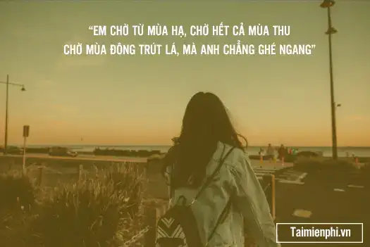 câu nói về sự vô cảm