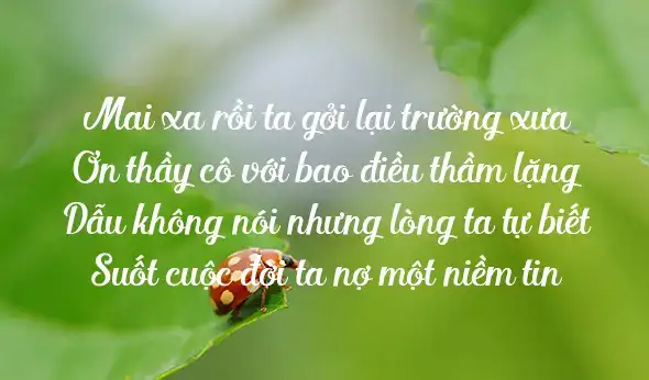 những câu nói hay nhất về thầy cô giáo