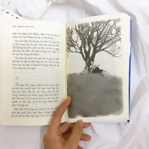 những câu nói hay trong mắt biếc