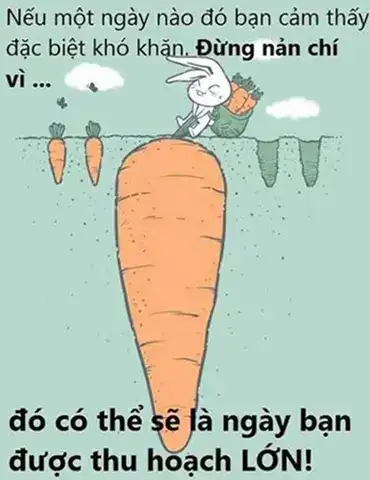 những câu nói hay khi bạn gục ngã