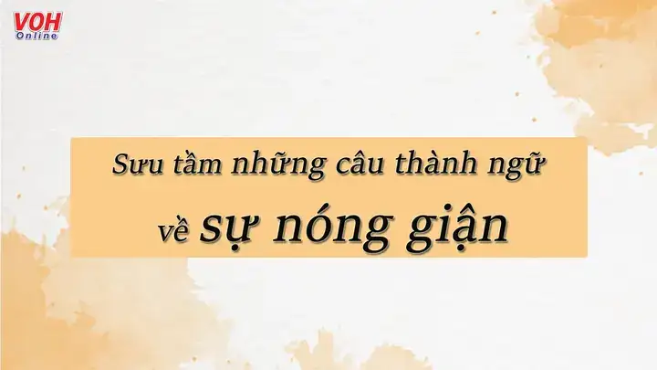 những câu nói hay về sự nóng giận những câu nói hay về sự nóng giận