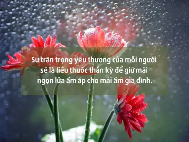 câu nói về sự bất lực