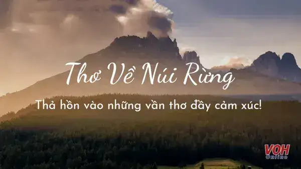 câu nói hay về núi rừng