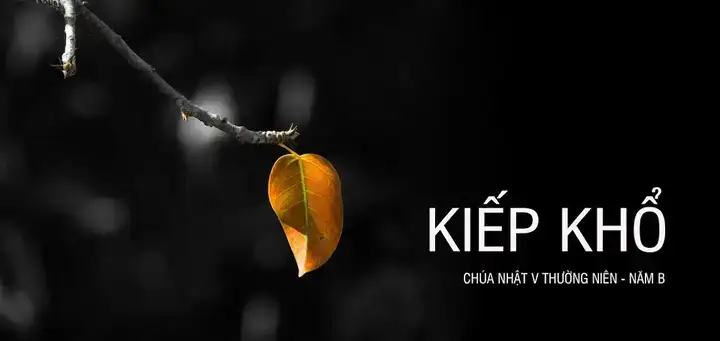 đời là bể khổ là câu nói của ai