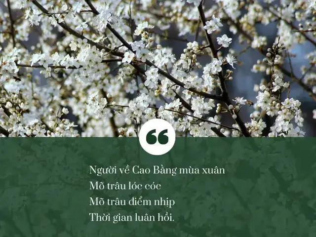 câu nói hay về cao bằng