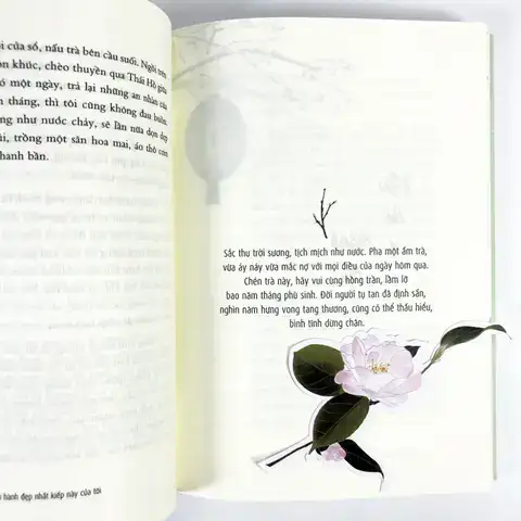 những câu nói hay của bạch lạc mai