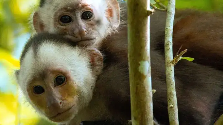 câu nói khi bị bỏ rơi