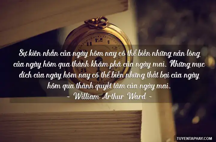 những câu nói về giản dị