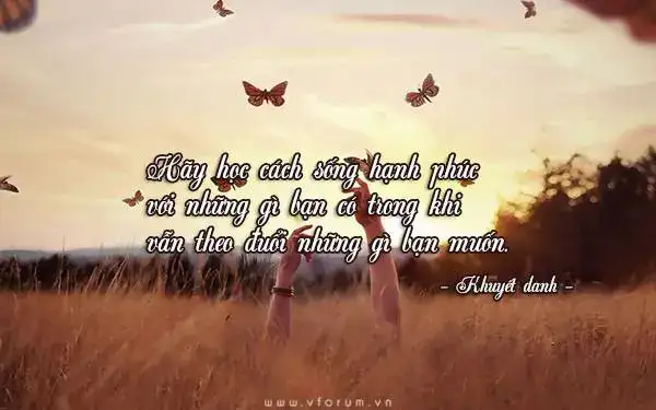 những câu nói hay về gió đông