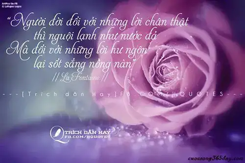 hình ảnh những câu nói buồn