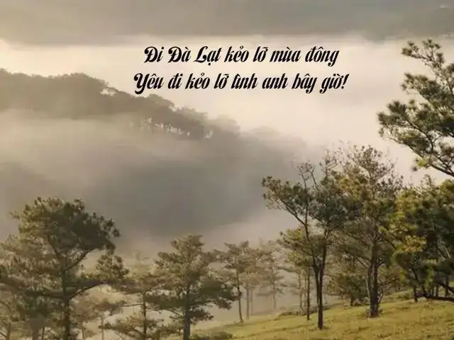 câu nói hay về đà lạt