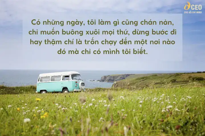 những câu nói muốn đi xa