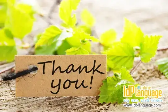 những câu nói cảm ơn hay