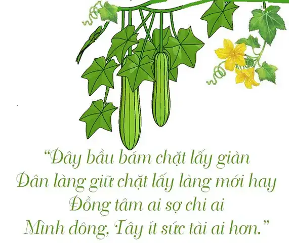 câu nói về đoàn kết