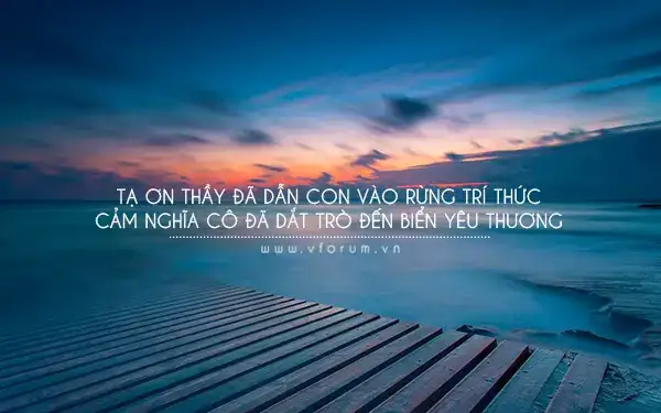 câu nói hay về tri thức