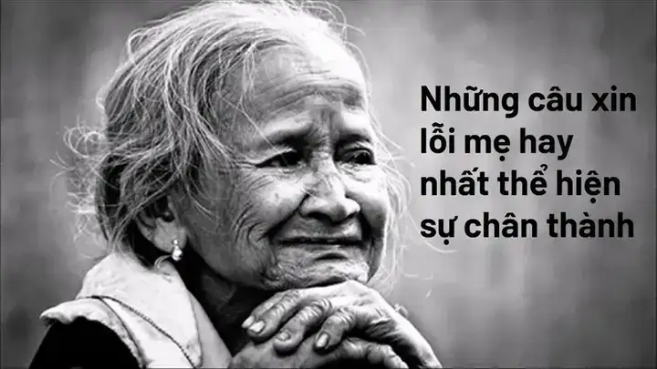 những câu nói xin lỗi cha mẹ hay