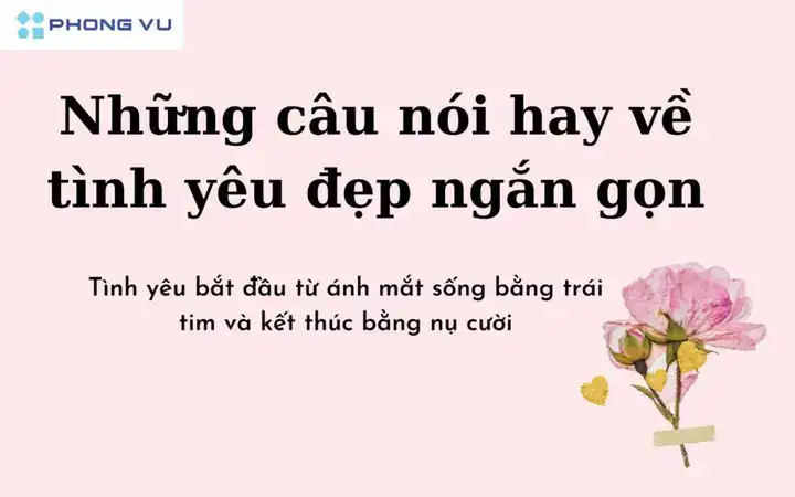 những câu nói về