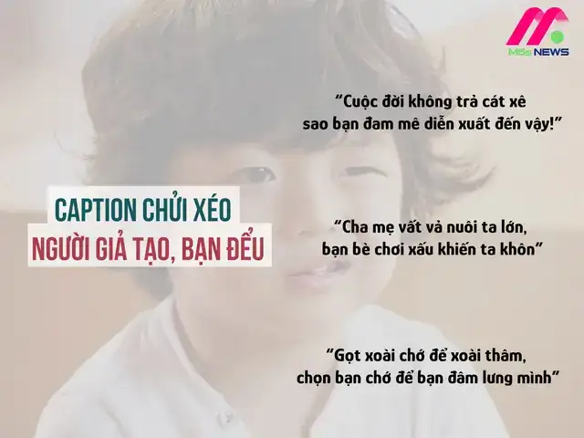 những câu nói chửi hay