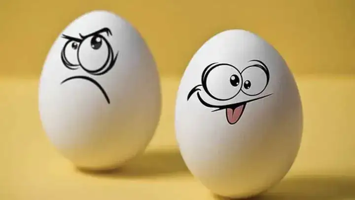 những câu nói chọc tức người khác