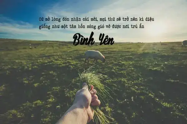 những câu nói hay về đom đóm