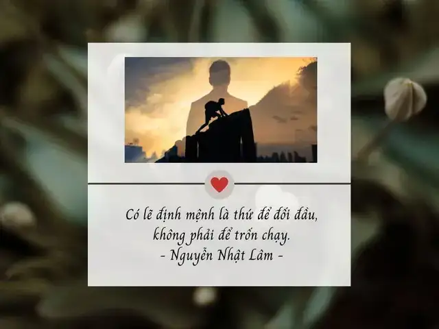 những câu nói hay về vượt lên số phận