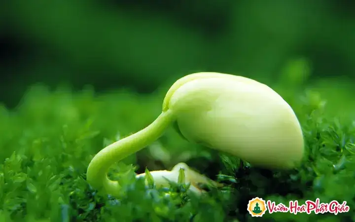 những câu nói ý nghĩa làm thay đổi cuộc đời