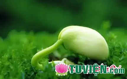 những câu nói ý nghĩa làm thay đổi cuộc đời