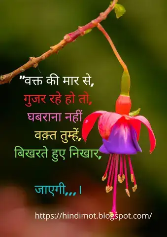 những câu nói chạm đến trái tim