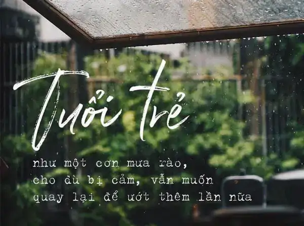 những câu nói hay về tuổi 29