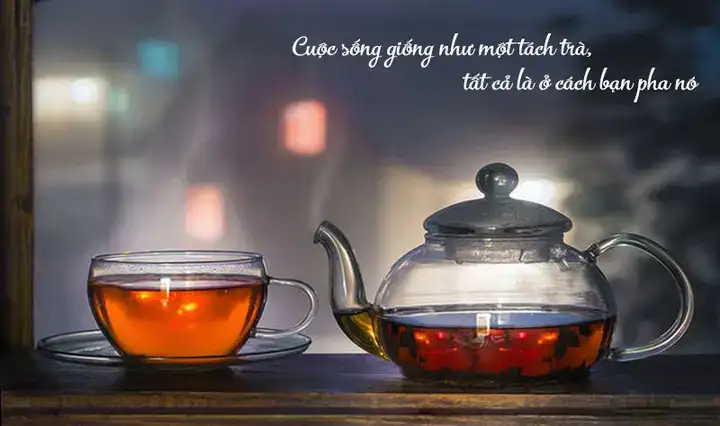 những câu nói hay về trả thù