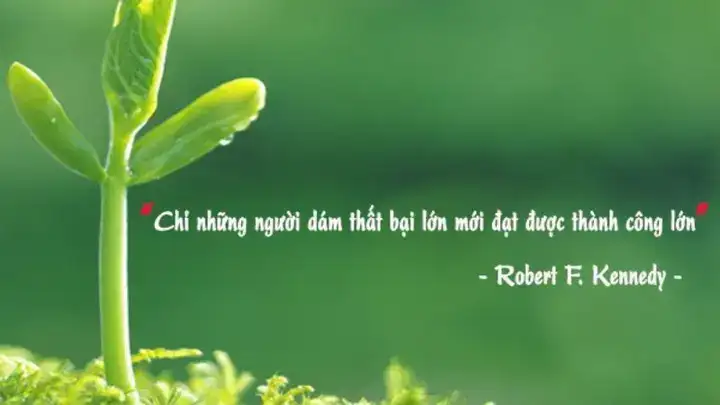 những câu nói châm biếm về công việc