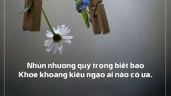 những câu nói hay về sự kiêu ngạo