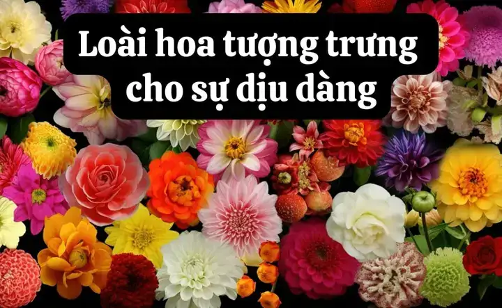 những câu nói hay về sự dịu dàng