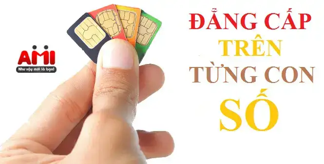 những câu nói hay về sim số đẹp