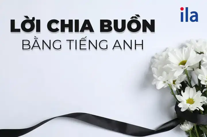 những câu nói chia buồn bằng tiếng anh