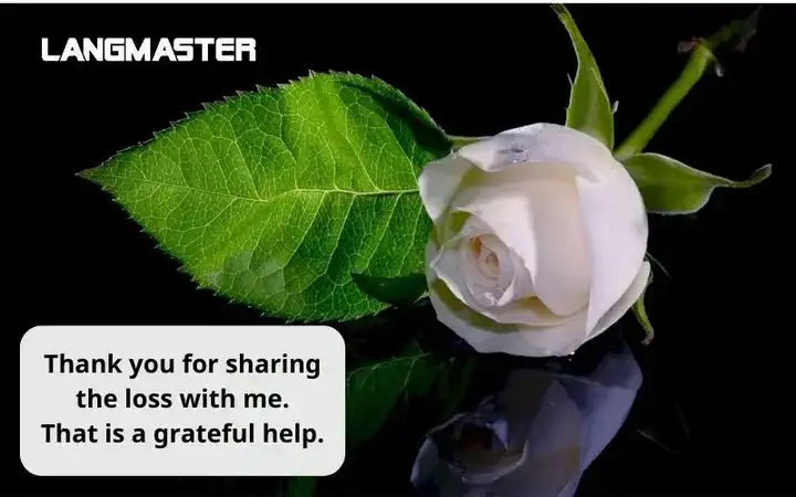 những câu nói chia buồn bằng tiếng anh