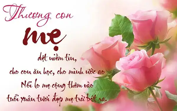 những câu nói hay về mưa bão những câu nói hay về mưa bão