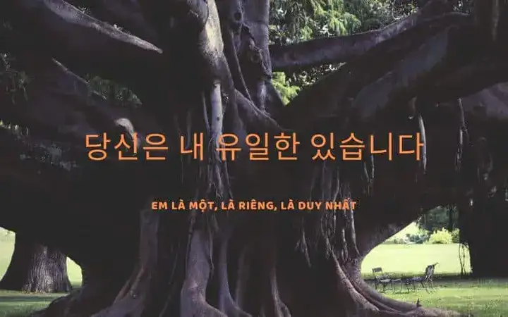 câu nói tiếng hàn hay về tình yêu