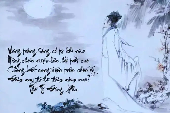 những câu nói hay về hoa tuyết