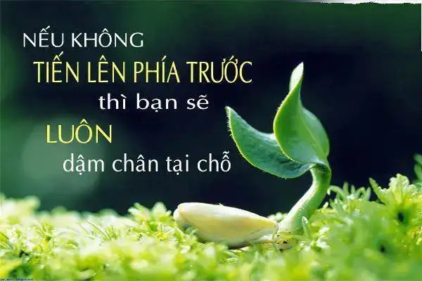 những câu nói hay về công việc tình nguyện