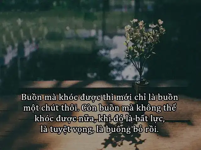 những câu nói chán nản về cuộc sống gia đình