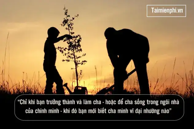 những câu nói hay về bố