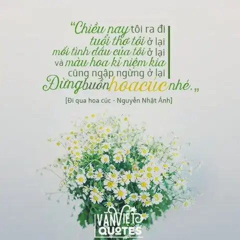 những câu nói hay trong đi qua hoa cúc