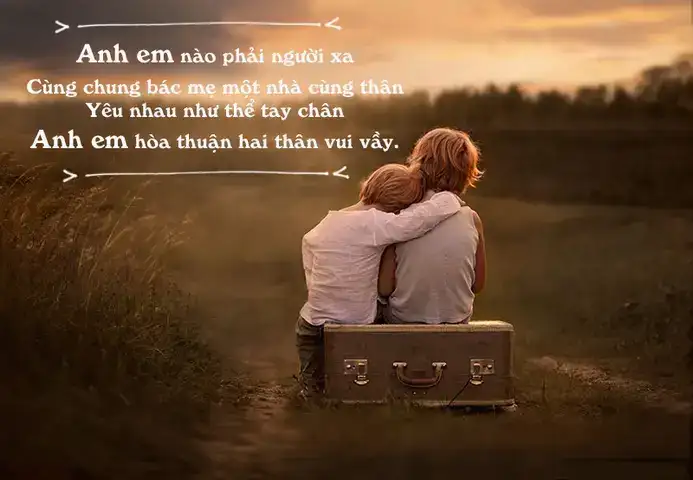 nhưng câu nói hay về tình anh em